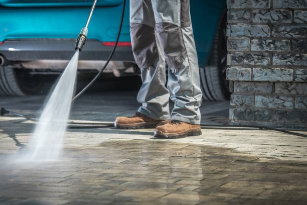 Best Sidewalk and Walkway Cleaning  in Palmer, TX